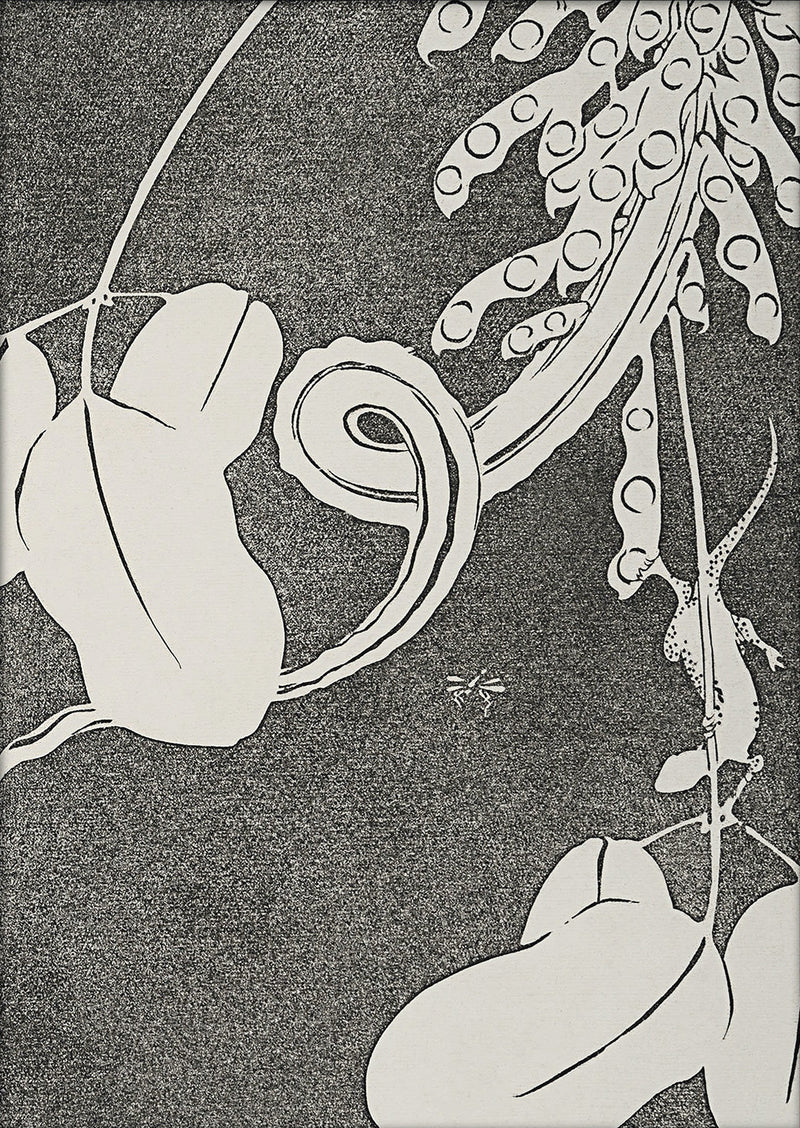 Natural Study II. Mini Print