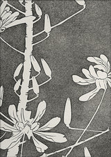 Natural Study III. Mini Print