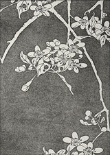 Natural Study IV. Mini Print