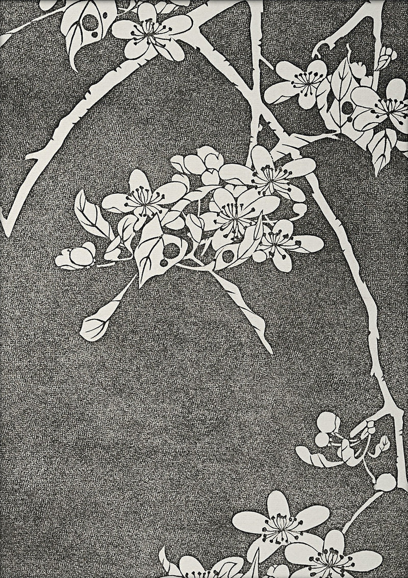 Natural Study IV. Mini Print