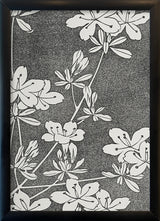 Natural Study V. Mini Print