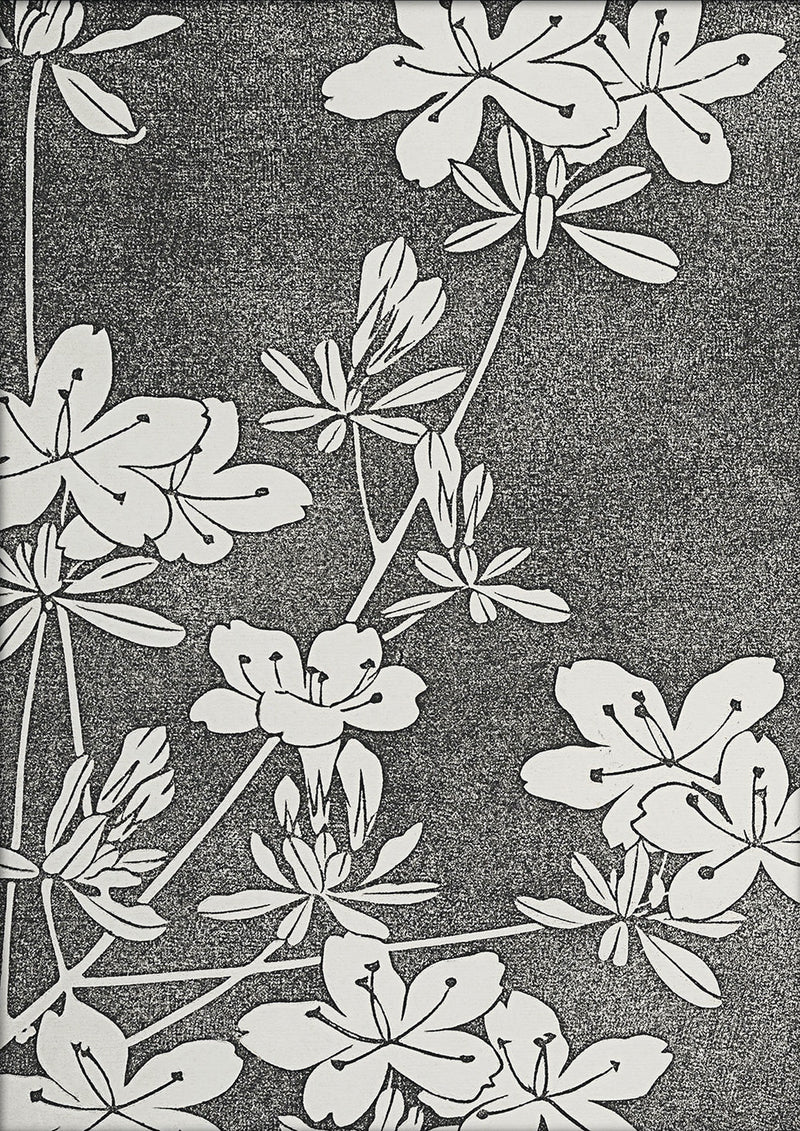 Natural Study V. Mini Print