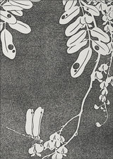 Natural Study VI. Mini Print