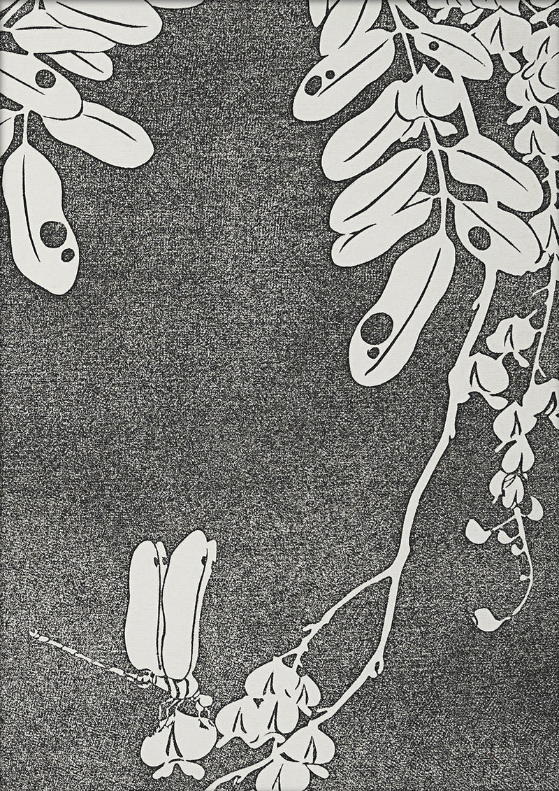 Natural Study VI. Mini Print