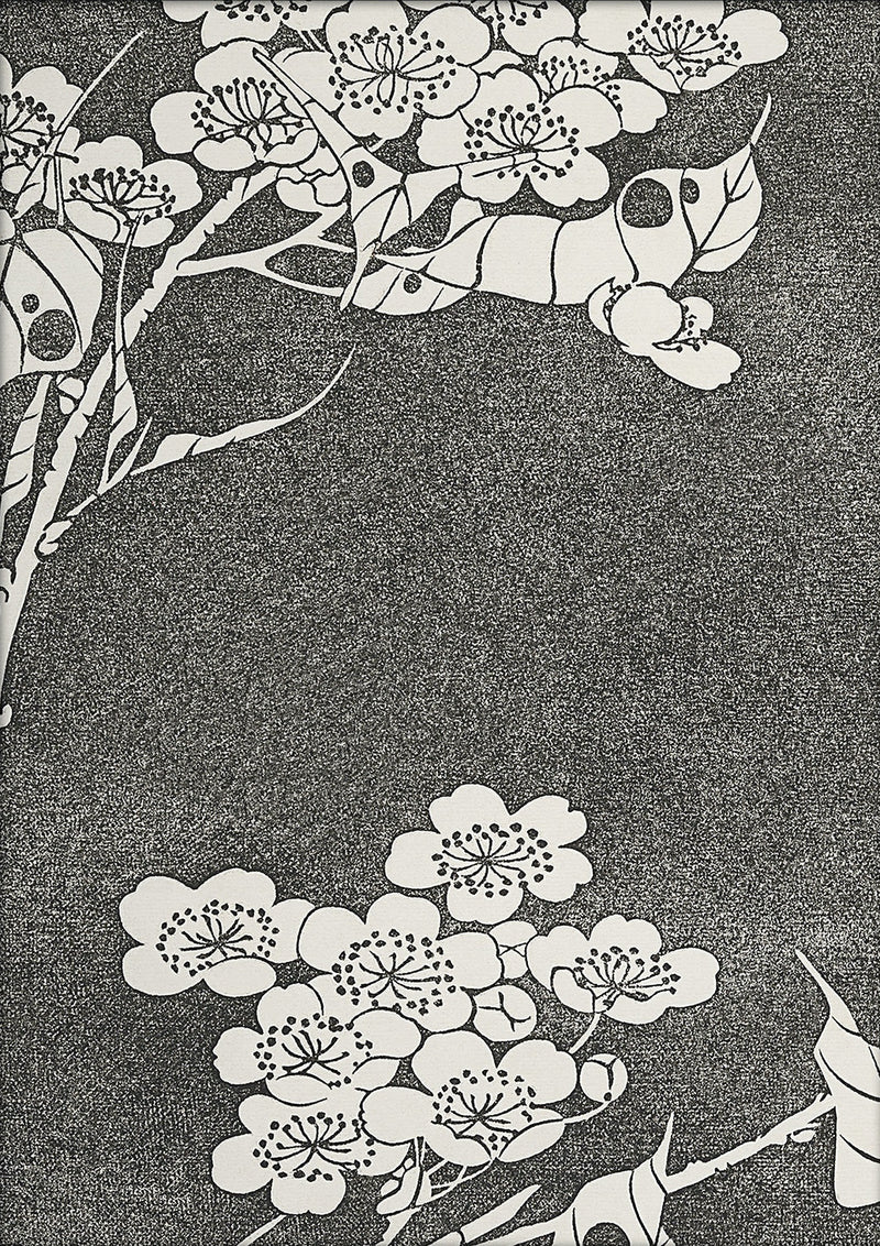 Natural Study VII. Mini Print