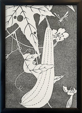 Natural Study IX. Mini Print