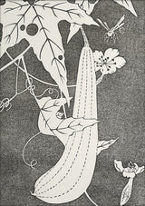 Natural Study IX. Mini Print