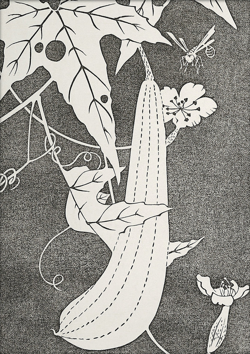 Natural Study IX. Mini Print