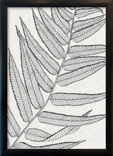 Botanical Study VIII. Mini Print