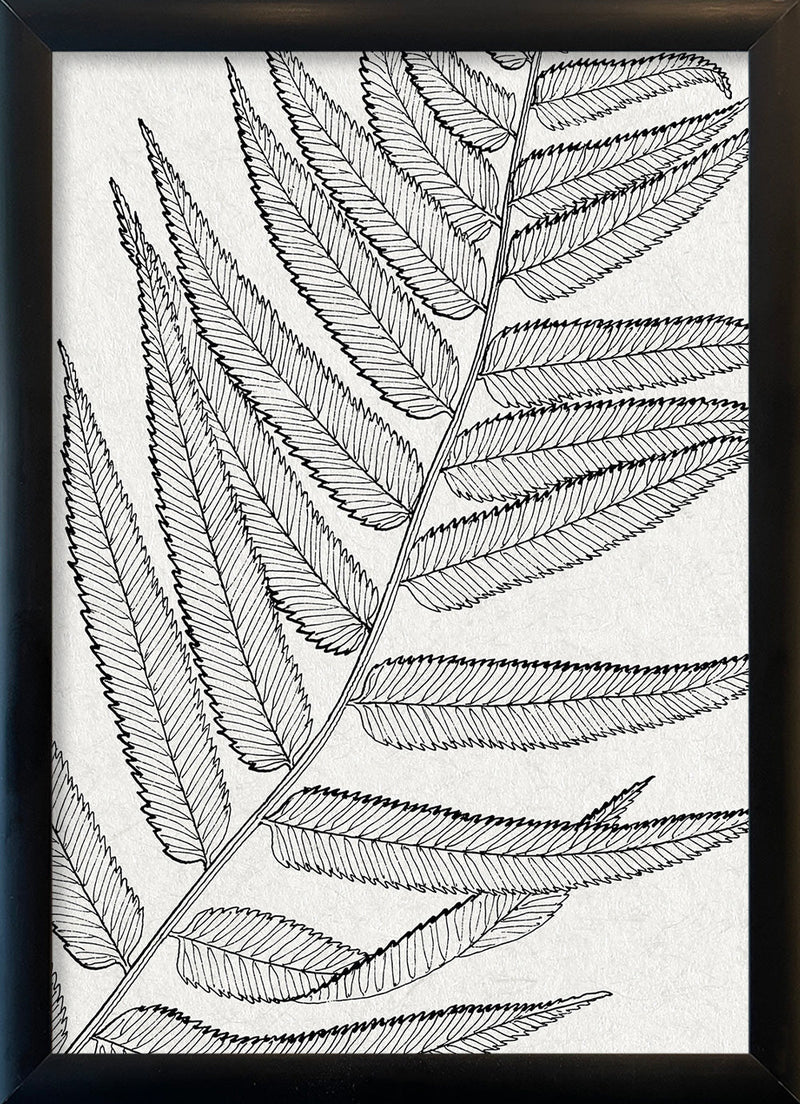 Botanical Study VIII. Mini Print