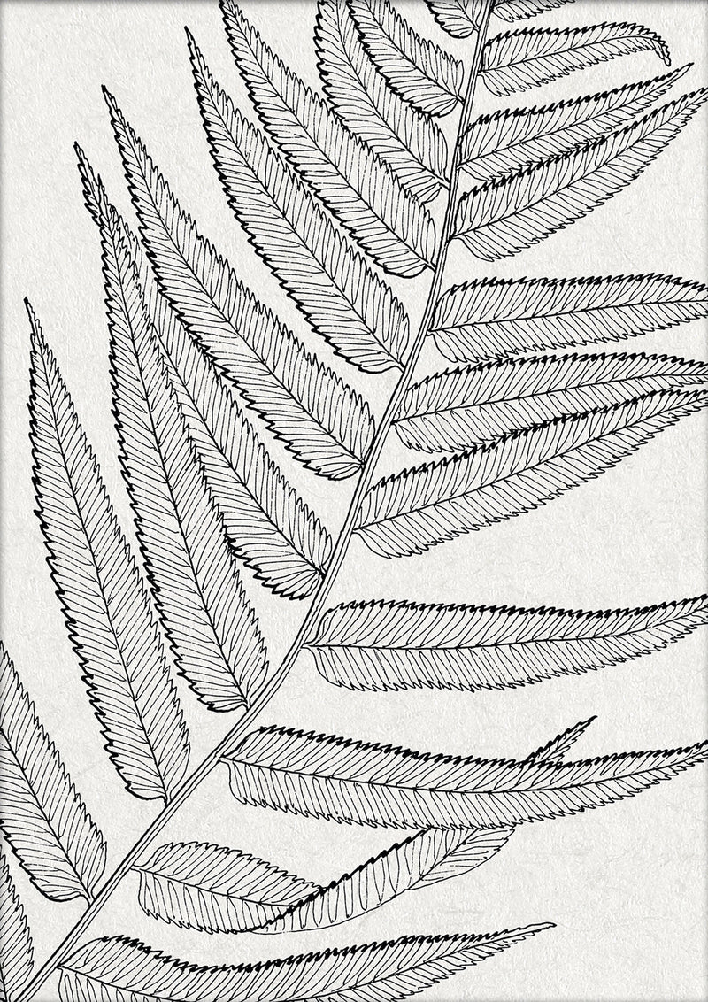 Botanical Study VIII. Mini Print