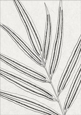 Botanical Study IX Mini Print