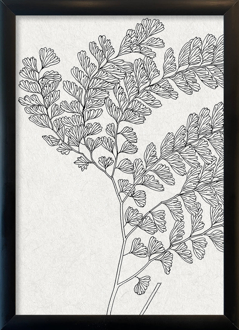 Botanical Study X. Mini Print