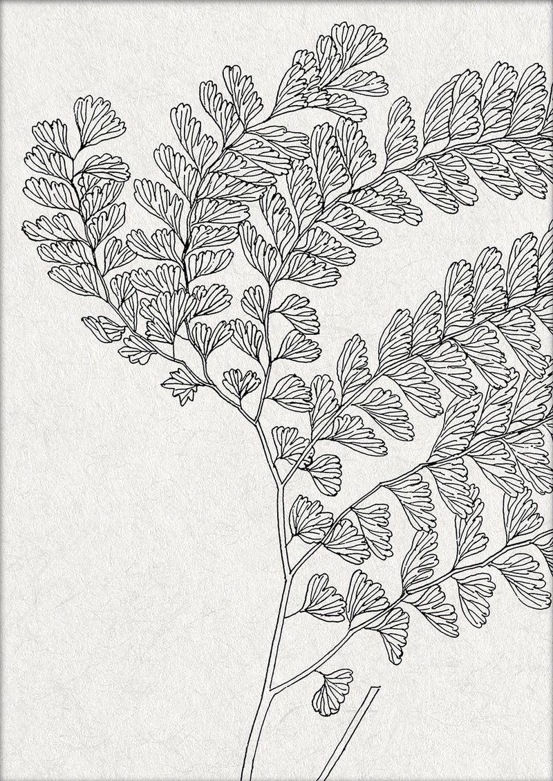 Botanical Study X. Mini Print