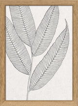 Botanical Study XI. Mini Print