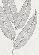 Botanical Study XI. Mini Print