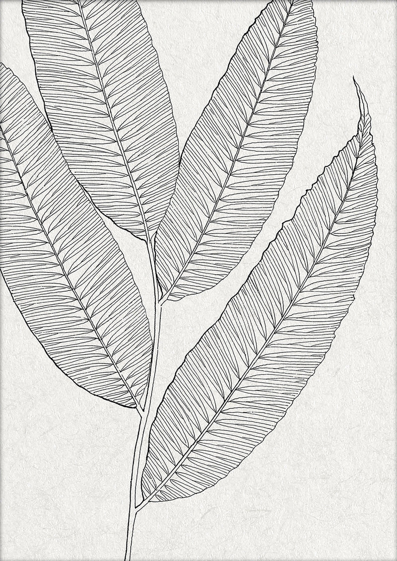 Botanical Study XI. Mini Print