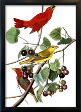 Summer Red Bird. Mini Print