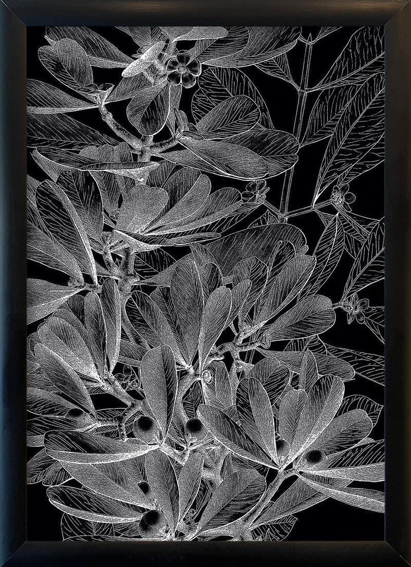 Botanical Study II. Mini Print