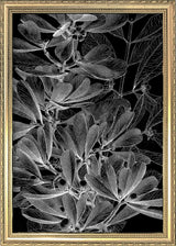 Botanical Study II. Mini Print