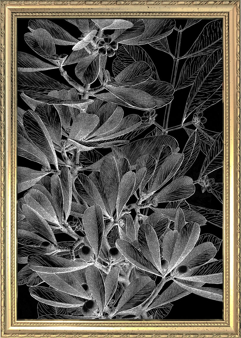 Botanical Study II. Mini Print