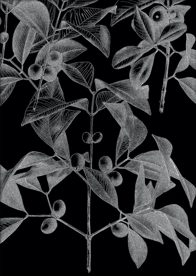 Botanical Study III. Mini Print