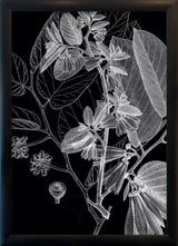 Botanical Study V. Mini Print