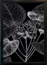 Botanical Study VI. Mini Print