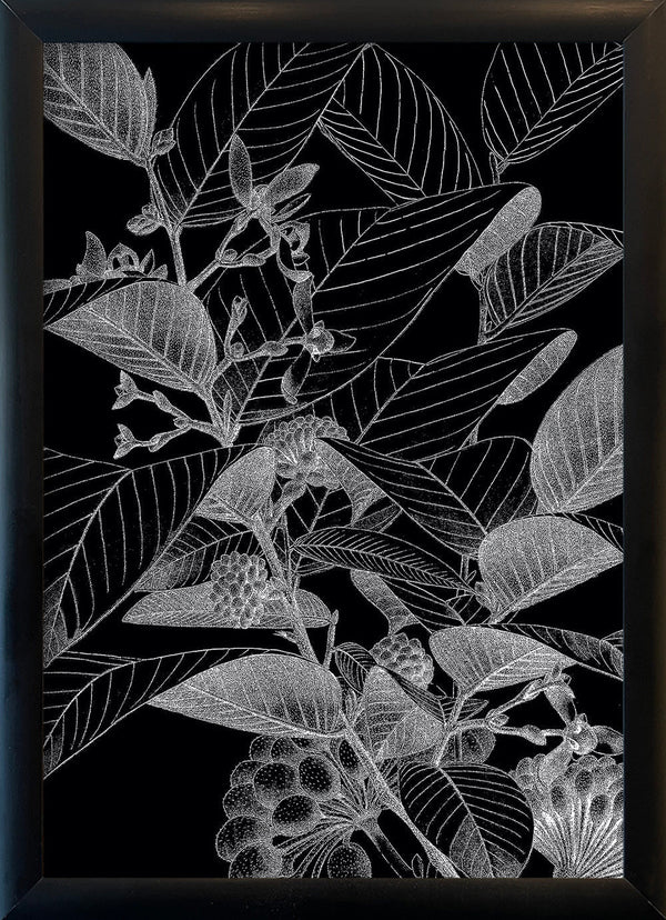 Botanical Study VII. Mini Print