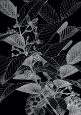 Botanical Study VII. Mini Print