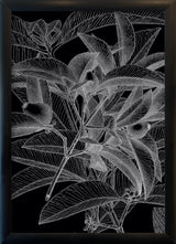 Botanical Study VIII. Mini Print