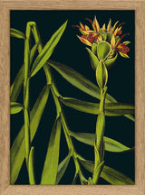 Ginger Details. Mini Print