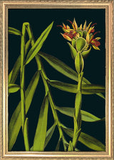 Ginger Details. Mini Print