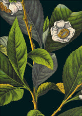 Tea Details. Mini Print