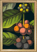 Coffee Details. Mini Print