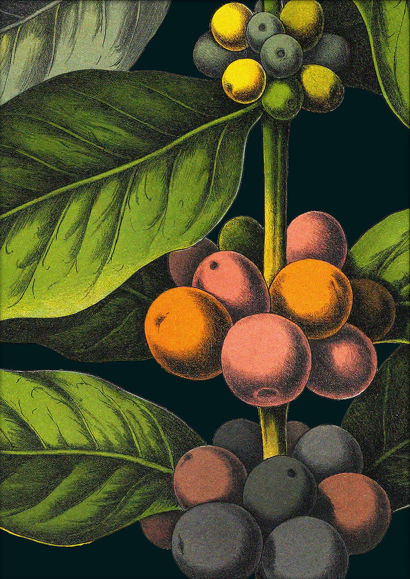 Coffee Details. Mini Print