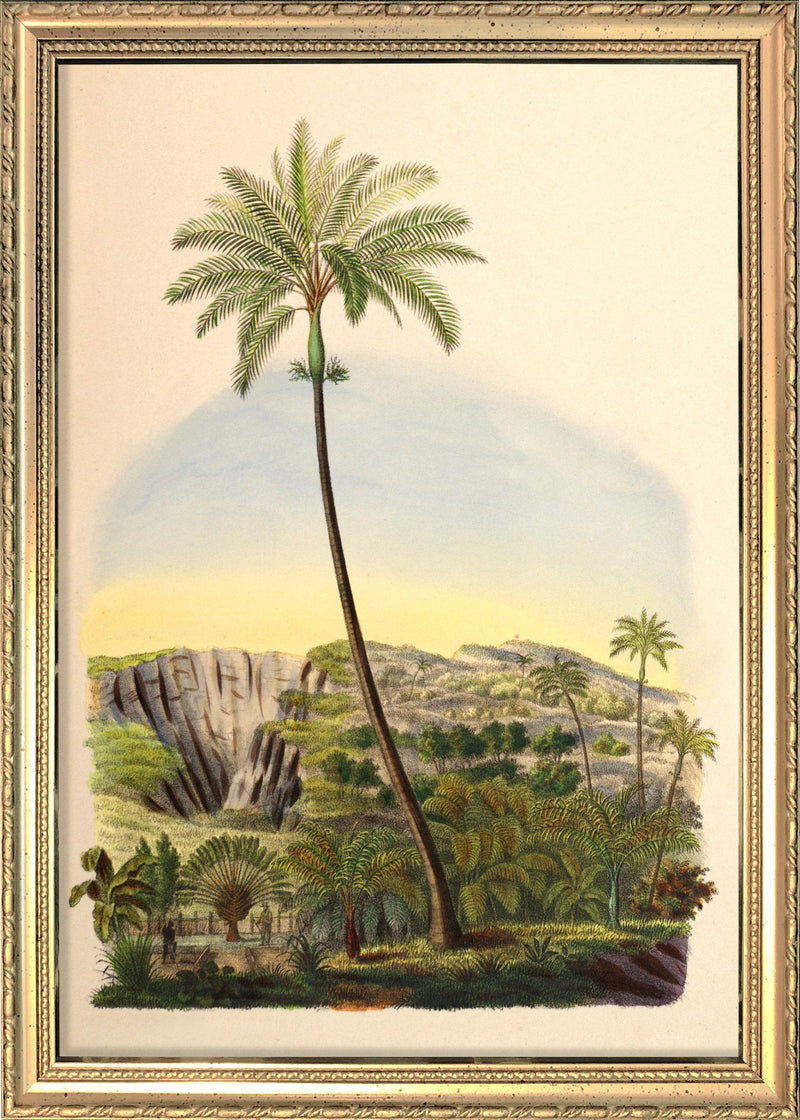 Palmarum I. Mini Print