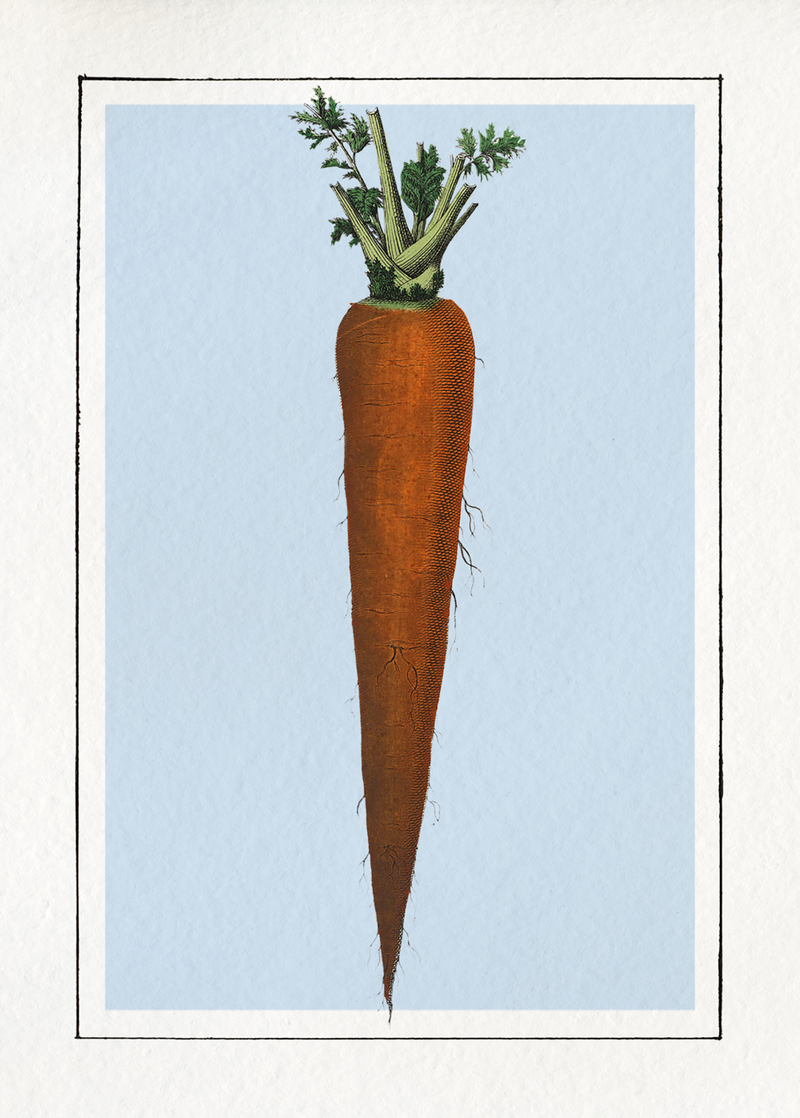 Carrot. Mini Print