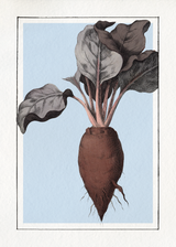 Beet. Mini Print