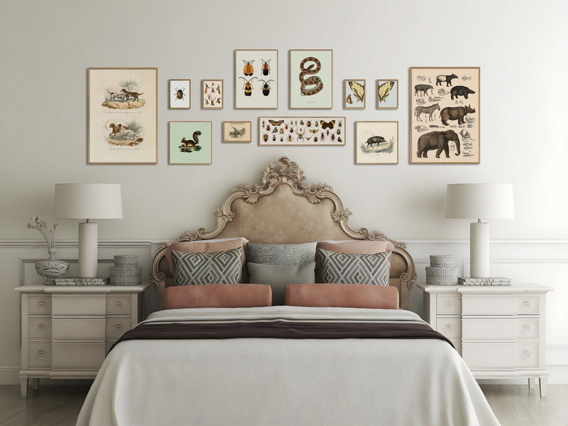 Antelopes & Gazelles. Mini Print