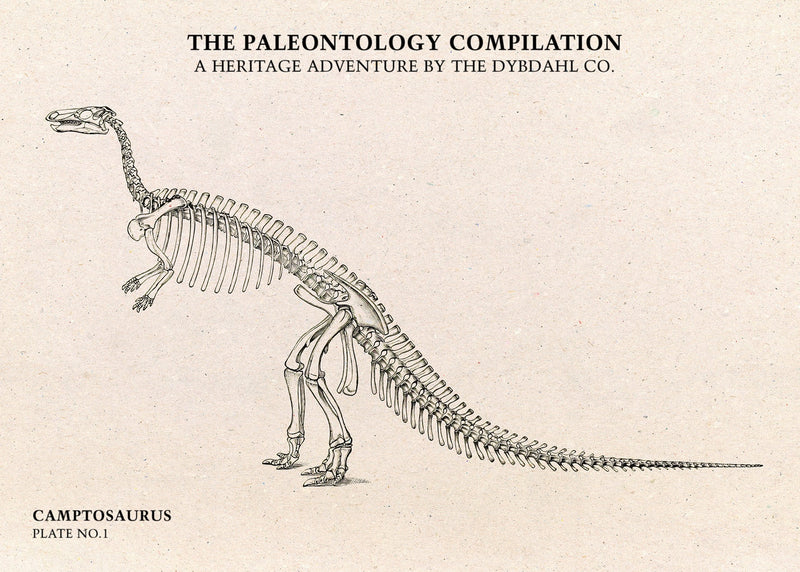 Camptosaurus. Mini Print