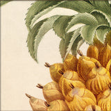 Pineapple Close Up. Mini Print