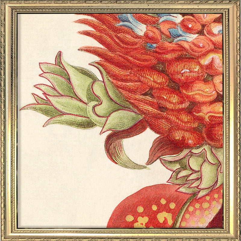 Red Pineapple Close Up. Mini Print