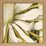 Cereus Flower. Mini Print