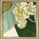 Anona Fructu Lutefcente Close Up. Mini Print