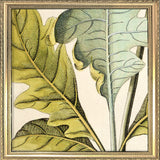 Bocconia Close Up. Mini Print