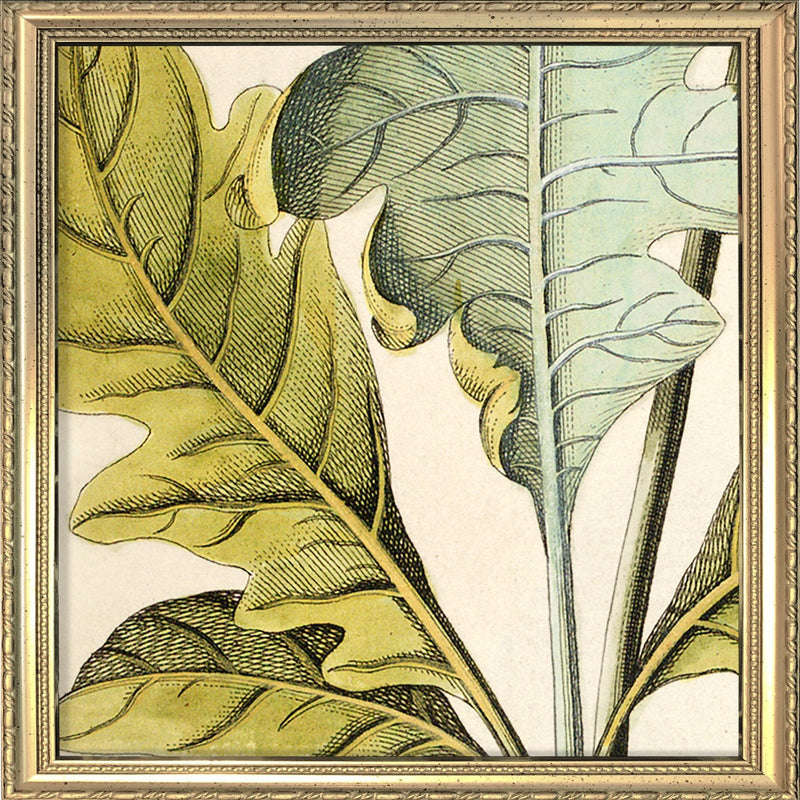 Bocconia Close Up. Mini Print