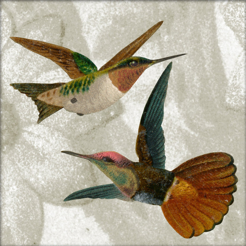 Two Flying Hummingbirds. Mini Print