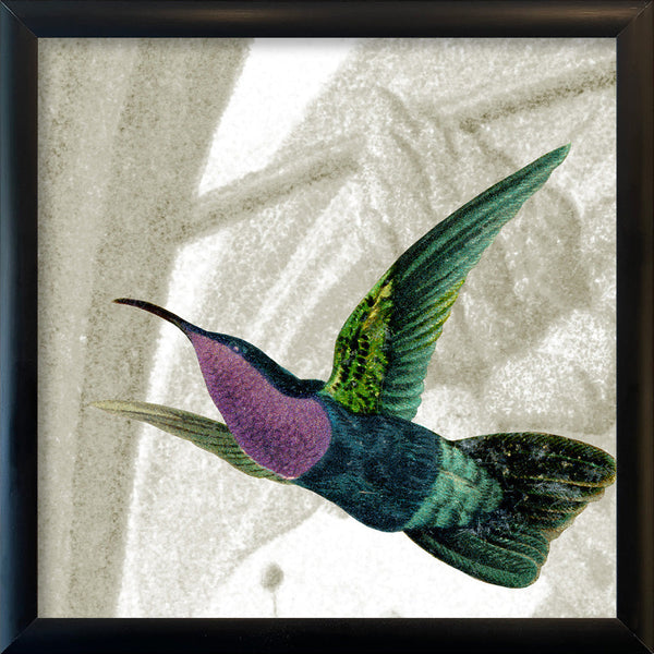 Flying Purple and Green Hummingbird. Mini Print