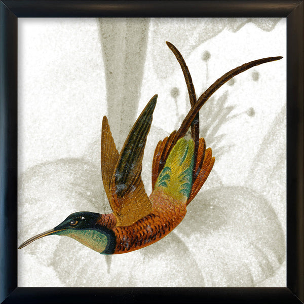 Brown Hummingbird. Mini Print